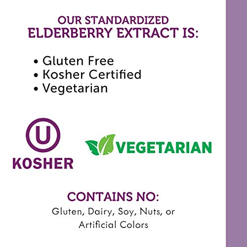 Nature's Way Elderberry Immune Syrup for Kids - Antioxidant Support, Vegetarian - 8 Fl Oz