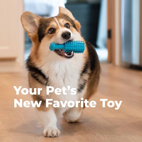 Oxyfresh Dog Dental Toy - Durable Rubber Chew for Teeth Cleaning & Fresh Breath - 5in
