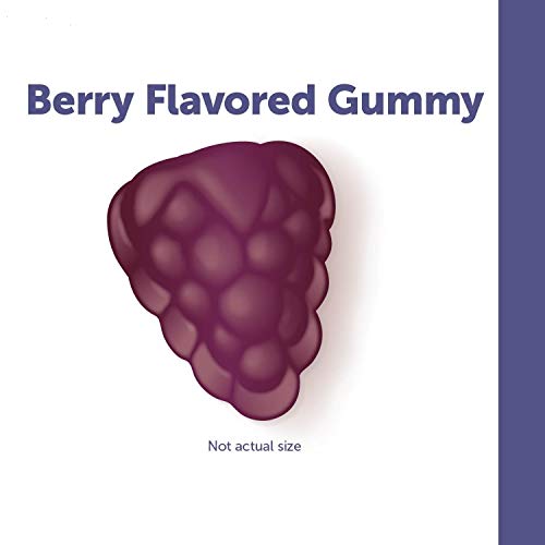 Nature's Way Sambucus Elderberry Gummies - Immune Support with Vitamin C, D3, Zinc - 60 Count