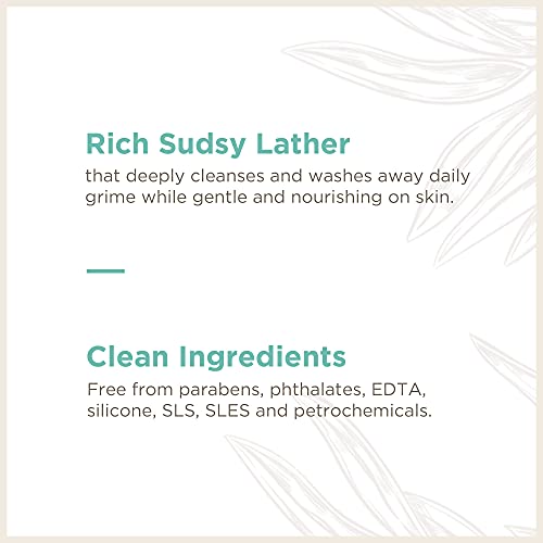 Soapbox Foaming Hand Soap - Moisturizing Aloe & Sage, Vegan Ingredients - 3 Pack, 11oz Each