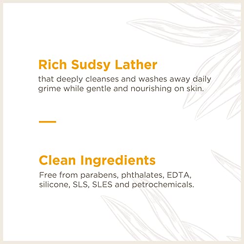 Soapbox Foaming Hand Soap - Moisturizing Citrus & Fennel, Vegan & Paraben Free - 11oz, 3 Pack