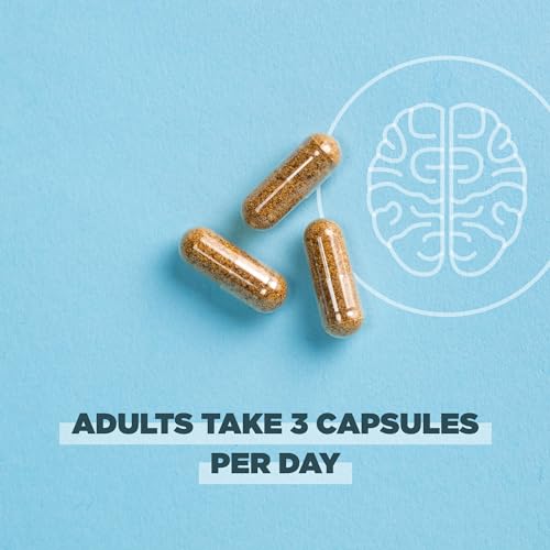 Ancient Nutrition Brain Supplement - Promotes Focus & Cognitive Health, Gluten Free - 90 Capsules
