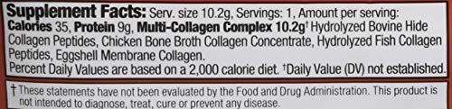Ancient Nutrition Multi Collagen Complex Powder - Supports Joint & Skin Health - 0.36 oz