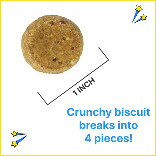 Chippin Blueberry Cricket Dog Treat - Natural Joint Health, Hypoallergenic, 5oz