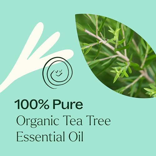 Plant Therapy Organic Tea Tree Oil - Heals Skin, USDA Certified Organic, 100% Pure - 30 mL