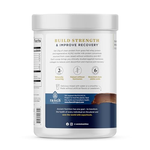 Ancient Nutrition Whey Protein Powder - 23g Protein, Easy Digest A2/A2 Milk, 20 Servings