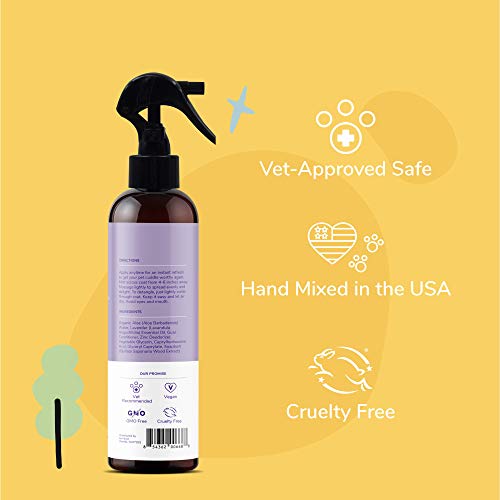 kin+kind Dog Deodorizing Spray - Natural Odor Eliminator, Lavender Scent - 12 fl oz
