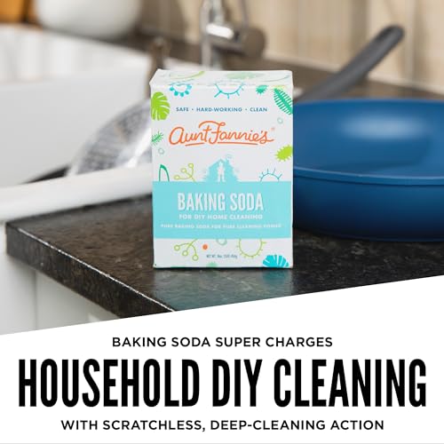Aunt Fannie's All Purpose Cleaner - Pet-Friendly, Odor Absorber, 16oz for Home Use