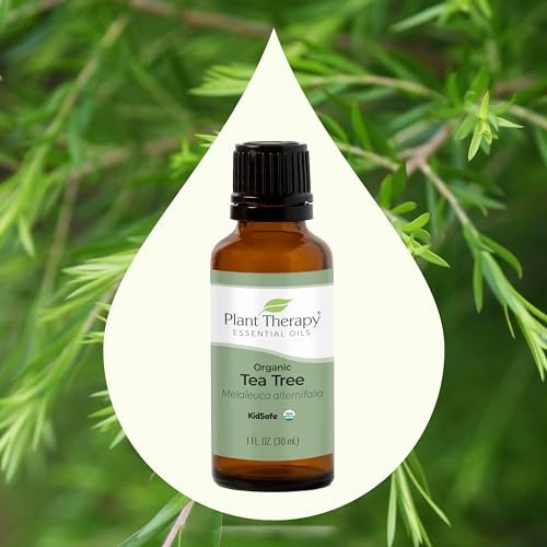 Plant Therapy Organic Tea Tree Oil - Heals Skin, USDA Certified Organic, 100% Pure - 30 mL