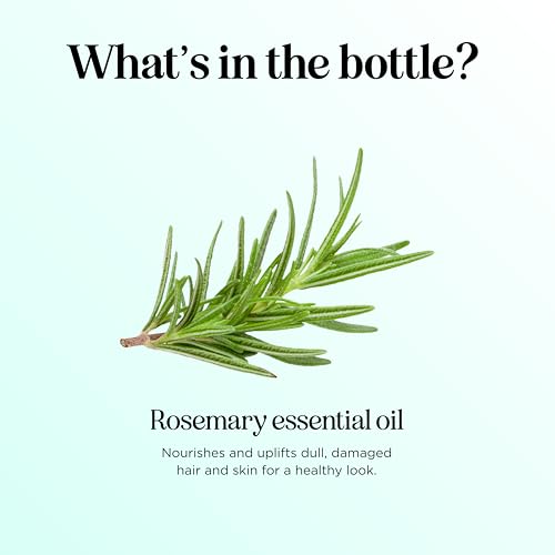 Maple Holistics Pure Rosemary Essential Oil - Hair, Skin & Aromatherapy Benefits - 4oz