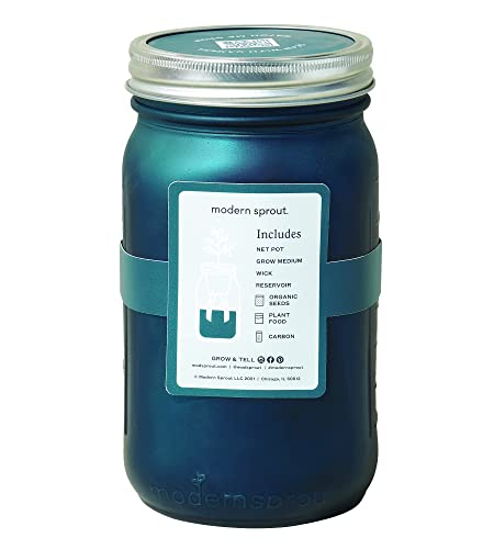 Modern Sprout Glass Jar Grow Set - Organic Basil Seed Starter, Indoor Hydroponic Kit - 1 Quart