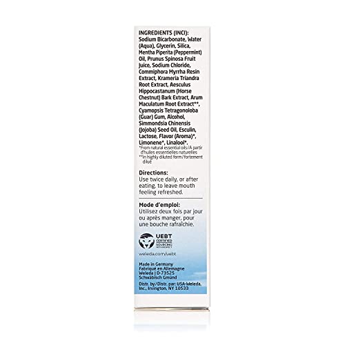 Weleda Natural Salt Toothpaste - Fluoride-Free, NATRUE Certified, Peppermint Fresh - 3 Pack