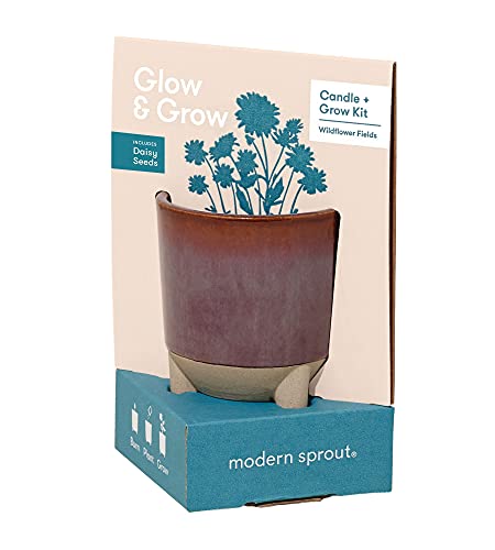 Modern Sprout Grow Kit - Plant & Enjoy Daisy Seeds, Scented Soy Candle - 12oz