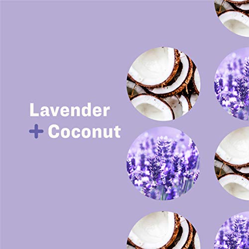 Everyone Hand Soap - Plant-Based Cleansers with Essential Oils, Lavender & Lemon - 3 Pack