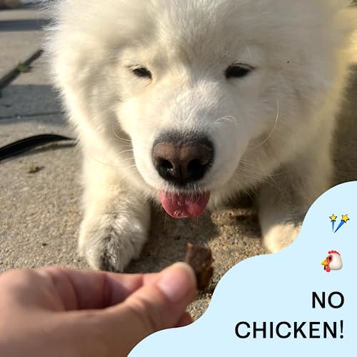 Chippin Dog Treat - Hypoallergenic Cricket & Sweet Potato, Supports Gut Health - 5oz