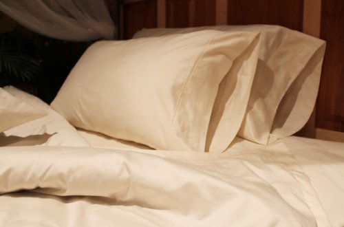 Organic 300 Thread Count Pillow Case - Soft & Breathable, Certified Organic Cotton - Queen