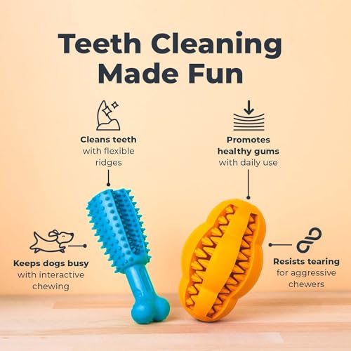 Oxyfresh Dog Dental Toy - Durable Rubber Chew for Teeth Cleaning & Fresh Breath - 5in