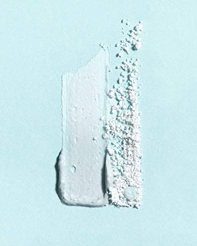 Earth Harbor Blue Crush Face Mask - Exfoliates & Nourishes, Organic Algae & Coconut Cream - 2 oz