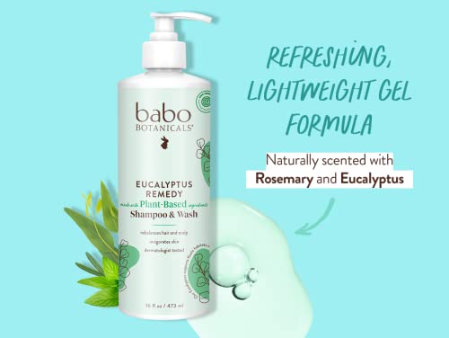 Babo Botanicals Eucalyptus Remedy Shampoo & Body Wash - Nourishing, Vegan, EWG Verified - 8oz
