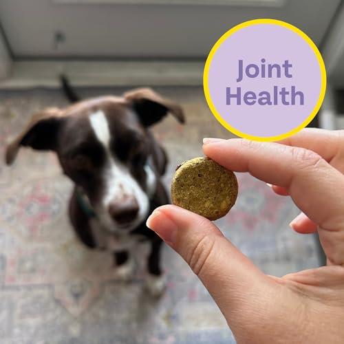 Chippin Blueberry Cricket Dog Treat - Natural Joint Health, Hypoallergenic, 5oz
