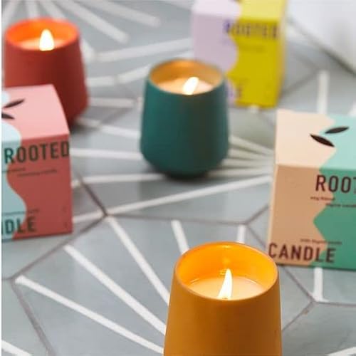 Modern Sprout Candle Grow Set - Organic Non-GMO Herb Garden with Lavender & Cedarwood - 6oz