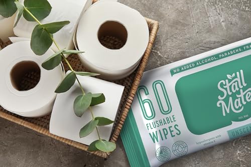 Stall Mates Adult Hygienic Wipes - Flushable, Hypoallergenic with Aloe & Vitamin E - 240 Wipes