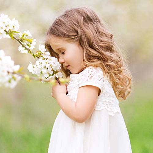 Babo Botanicals 2-in-1 Shampoo & Wash - Detangles, Nourishes, Hypoallergenic - Light Berry Scent