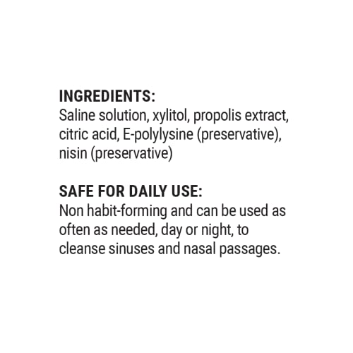 Beekeeper's Naturals Nasal Spray - Clears Congestion, Moisturizes, Natural Ingredients - 1 fl oz