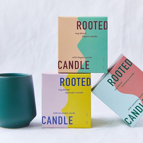 Modern Sprout Candle Grow Set - Transformative Indoor Herb Garden, Non-GMO Seeds, 3-Pack