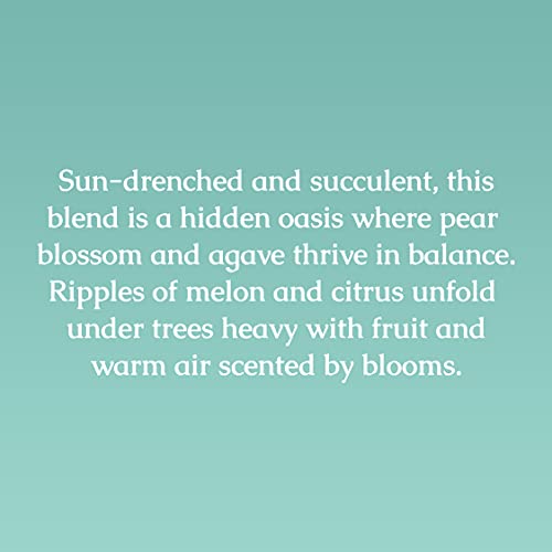 Caldrea Scented Candle - Essential Oils, 45 Hour Burn, Pear Blossom Agave - 8.1 Oz (Pack of 2)