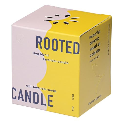 Modern Sprout Candle Grow Set - Transformative Indoor Herb Garden, Non-GMO Seeds, 3-Pack