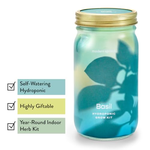 Modern Sprout Mason Jar Grow Set - Indoor Herb Garden with Organic Seeds, Reusable Kit - Basil