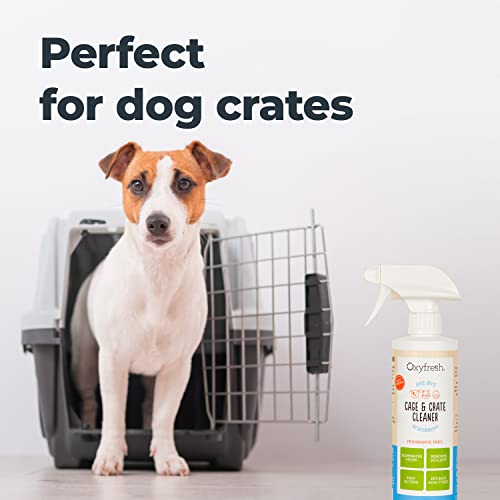 Oxyfresh Pet Odor & Stain Remover - Fast-Acting, Safe Formula for Small Animals, 16oz