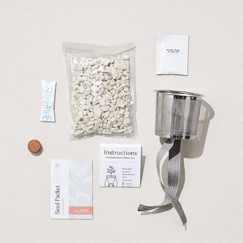 Modern Sprout Glass Jar Grow Set - Organic Basil Seed Starter, Indoor Hydroponic Kit - 1 Quart