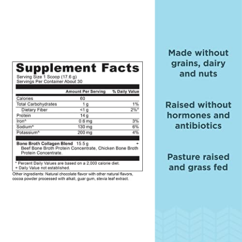 Ancient Nutrition Bone Broth Collagen Powder - Supports Skin, Joints & Nails, Chocolate - 18.6oz
