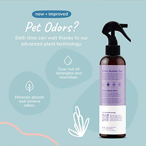 kin+kind Dog Deodorizing Spray - Natural Odor Eliminator, Lavender Scent - 12 fl oz