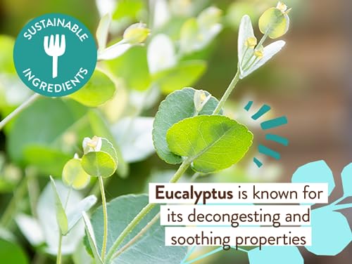 Babo Botanicals Eucalyptus Chest Rub - USDA Organic, Calming Relief for Sensitive Skin - 3oz