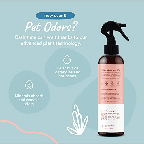 kin+kind Dog Deodorizing Spray - Natural Odor Eliminator, Grapefruit Scent - 12 fl oz