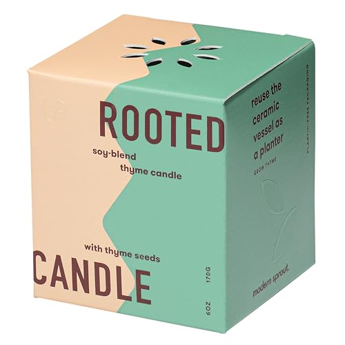 Modern Sprout Candle Grow Set - Transformative Indoor Herb Garden, Non-GMO Seeds, 3-Pack