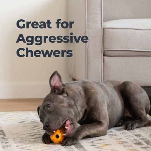 Oxyfresh Dog Dental Toy - Durable Rubber Chew for Teeth Cleaning & Fresh Breath - 5in
