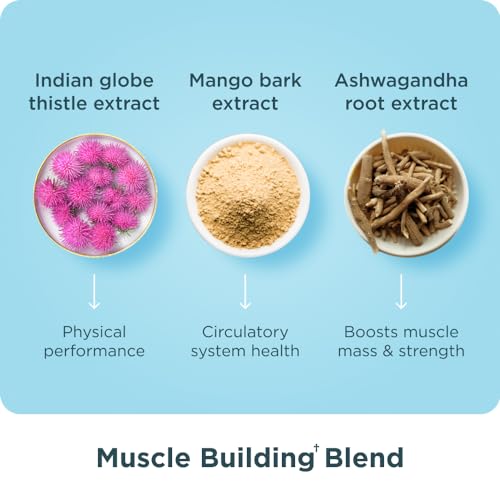 Ancient Nutrition Collagen Protein Powder - Muscle Support, Probiotics & Lean Body - 90 Count