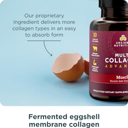 Ancient Nutrition Collagen Protein Powder - Muscle Support, Probiotics & Lean Body - 90 Count