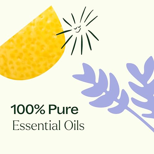Plant Therapy Top 6 Organic Essential Oils Set - Therapeutic Blends for Wellness - 10 mL Each