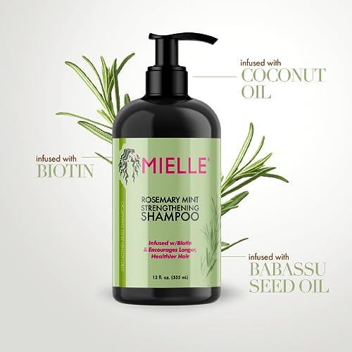 Mielle Organics Rosemary Mint Shampoo - Strengthens Hair, Infused with Biotin - 12oz