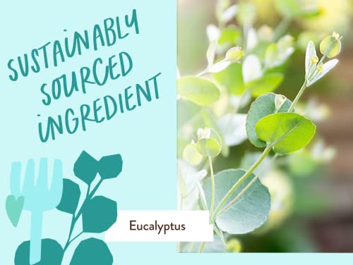 Babo Botanicals Eucalyptus Remedy Shampoo & Body Wash - Nourishing, Vegan, EWG Verified - 8oz