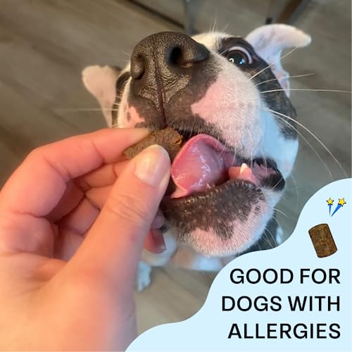 Chippin Dog Treat - Hypoallergenic Cricket & Sweet Potato, Supports Gut Health - 5oz