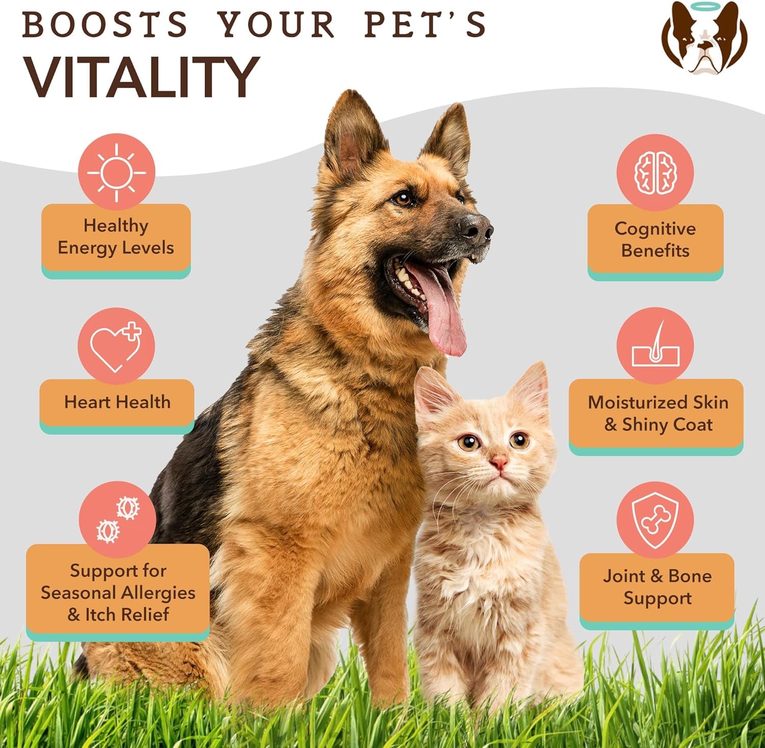 Pure Wild Alaskan Salmon Oil for Dogs (16Oz) Skin & Coat Supplement for Dogs, Dog Oil for Food with Essential Fatty Acids, Fish Oil Pump for Dogs, Omega 3 Fish Oil for Dogs