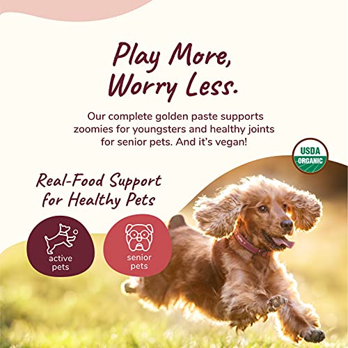 kin+kind Hip+Joint Supplement for Dogs & Cats - Organic Turmeric & Black Pepper - 8oz