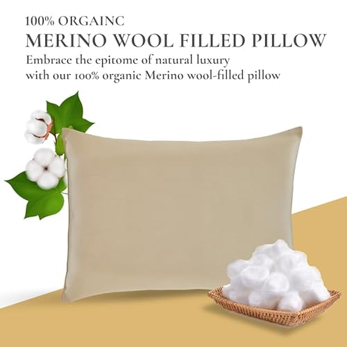 Sleep & Beyond myMerino Wool Pillow - Organic Comfort, Moisture Wicking, Washable - Ivory Queen