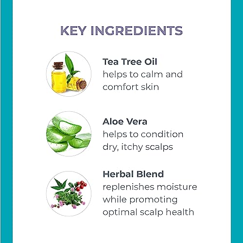 DERMA E Scalp Treatment - Relieves Itchy Scalp, Hydrates with Tea Tree & Aloe Vera - 2oz